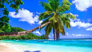 Conseils pratiques pour un voyage réussi à Tahiti